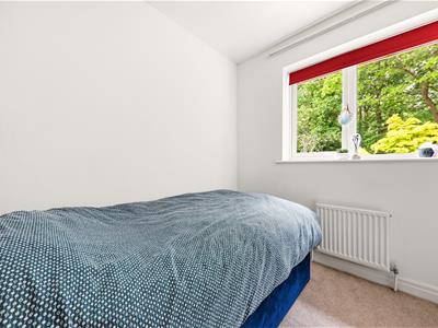 Picture 23